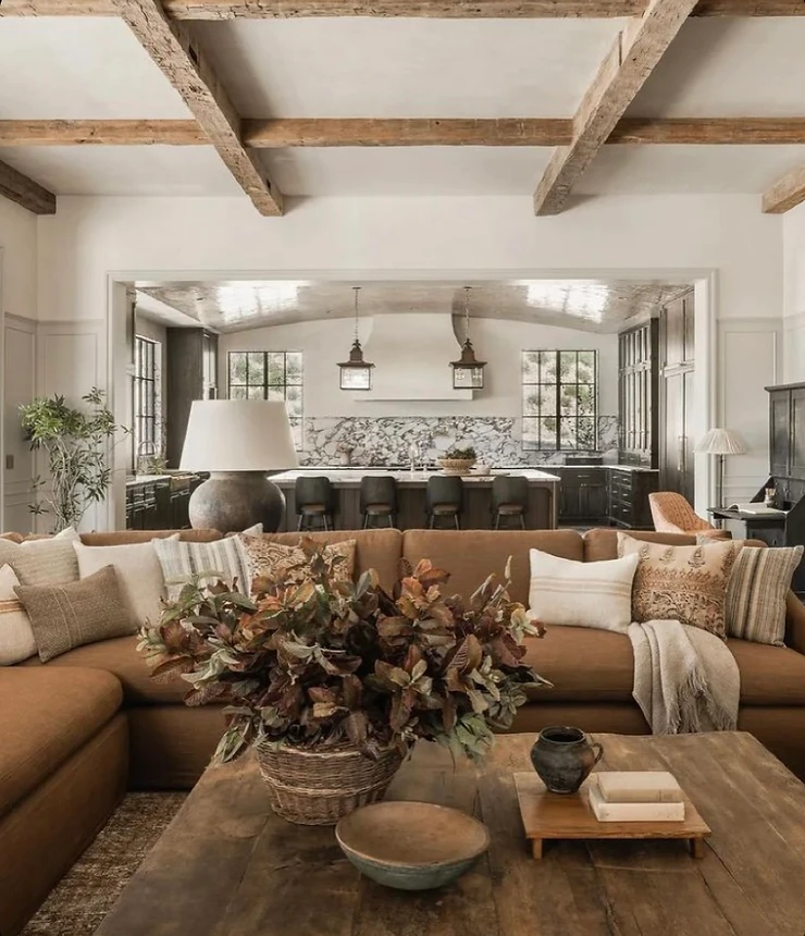 Amber Interiors Living Room