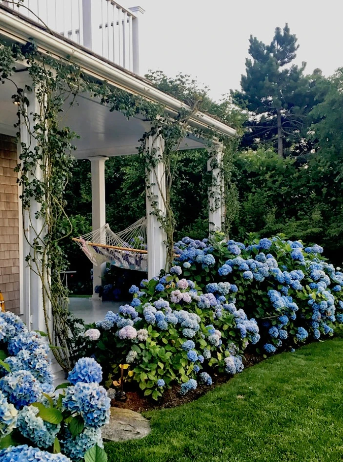 Quintessence Blog Outdoor Nantucket
